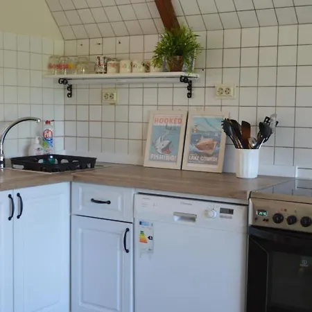 Apartmán Intertranscoop House *
